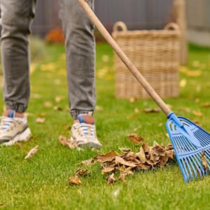 Genel Bahçe Temizliği