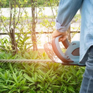 Form Budama Yapılması