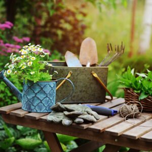 Kapsamlı Bakım Hizmetleri