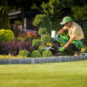 Mini Bahçe Bakım Hizmeti